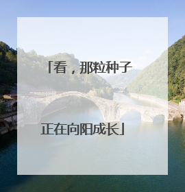 看，那粒种子正在向阳成长