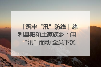 筑牢“汛”防线｜慈利县阳和土家族乡：闻“汛”而动 全员下沉筑牢防汛“安全堤”