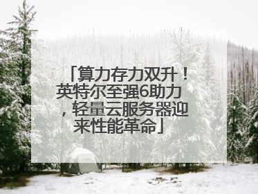 算力存力双升！英特尔至强6助力，轻量云服务器迎来性能革命