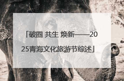 破圈 共生 焕新——2025青海文化旅游节综述