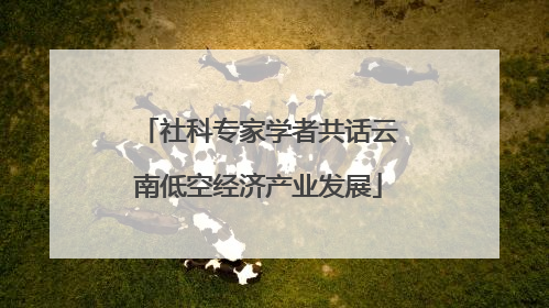 社科专家学者共话云南低空经济产业发展