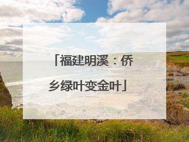 福建明溪：侨乡绿叶变金叶