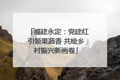 福建永定：党建红引领果蔬香 共绘乡村振兴新画卷