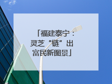 福建泰宁：灵芝“链”出富民新图景