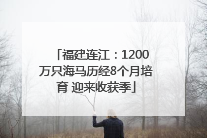 福建连江：1200万只海马历经8个月培育 迎来收获季