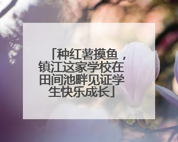 种红薯摸鱼，镇江这家学校在田间池畔见证学生快乐成长