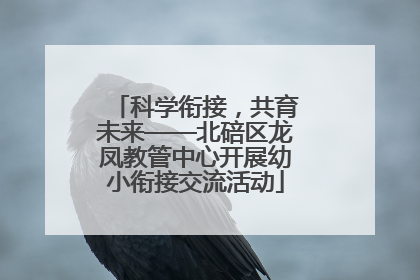 科学衔接，共育未来——北碚区龙凤教管中心开展幼小衔接交流活动