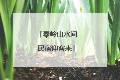 秦岭山水间 民宿迎客来