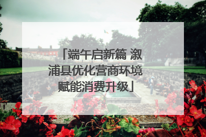 端午启新篇 溆浦县优化营商环境赋能消费升级