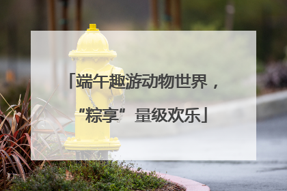 端午趣游动物世界，“粽享”量级欢乐