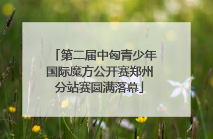 第二届中匈青少年国际魔方公开赛郑州分站赛圆满落幕