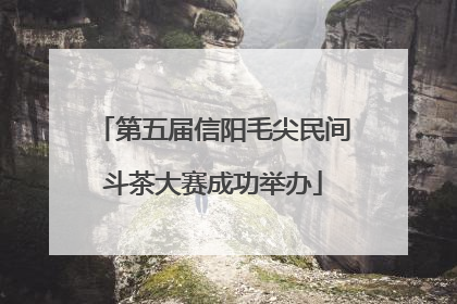 第五届信阳毛尖民间斗茶大赛成功举办