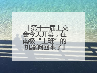 第十一届上交会今天开幕，在南极“上班”的机器狗回来了