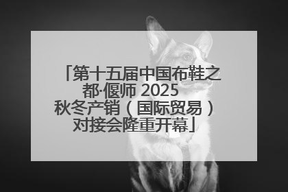 第十五届中国布鞋之都·偃师 2025 秋冬产销（国际贸易）对接会隆重开幕