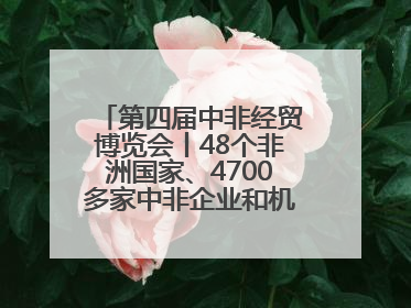 第四届中非经贸博览会丨48个非洲国家、4700多家中非企业和机构将参会