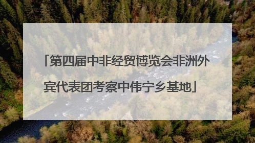 第四届中非经贸博览会非洲外宾代表团考察中伟宁乡基地