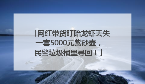 网红带货盱眙龙虾丢失一套5000元紫砂壶，民警垃圾桶里寻回！