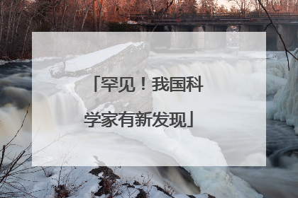 罕见！我国科学家有新发现