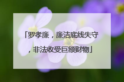 罗孝廉，廉洁底线失守，非法收受巨额财物