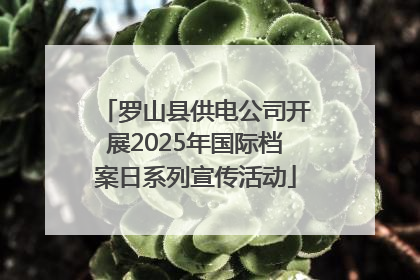 罗山县供电公司开展2025年国际档案日系列宣传活动