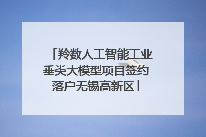 羚数人工智能工业垂类大模型项目签约落户无锡高新区
