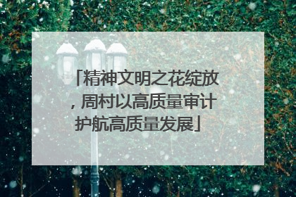 精神文明之花绽放，周村以高质量审计护航高质量发展