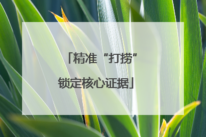 精准“打捞”锁定核心证据