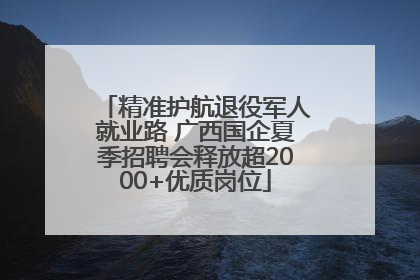 精准护航退役军人就业路 广西国企夏季招聘会释放超2000+优质岗位
