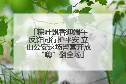 粽叶飘香迎端午，反诈同行护平安 立山公安这场警营开放“嗨”翻全场