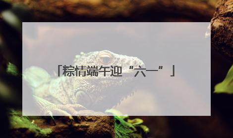 粽情端午迎“六一”