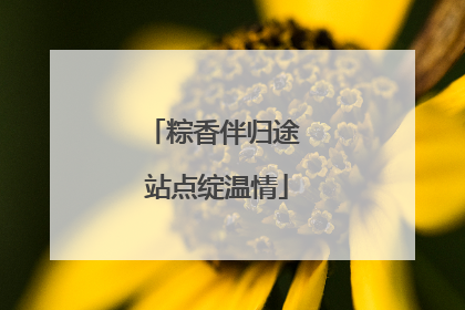 粽香伴归途 站点绽温情