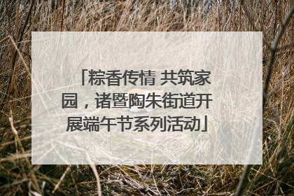 粽香传情 共筑家园，诸暨陶朱街道开展端午节系列活动