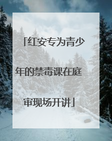 红安专为青少年的禁毒课在庭审现场开讲