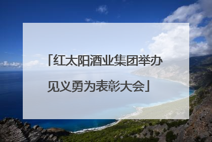 红太阳酒业集团举办见义勇为表彰大会