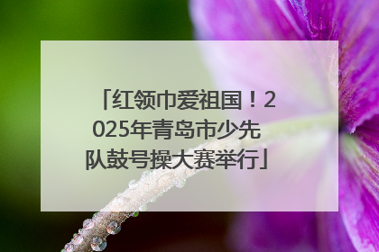 红领巾爱祖国！2025年青岛市少先队鼓号操大赛举行
