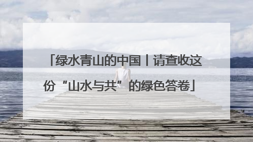 绿水青山的中国丨请查收这份“山水与共”的绿色答卷