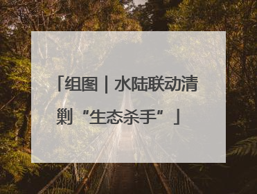 组图｜水陆联动清剿“生态杀手”