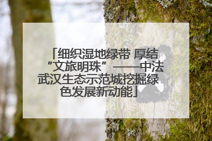细织湿地绿带 厚结“文旅明珠”——中法武汉生态示范城挖掘绿色发展新动能