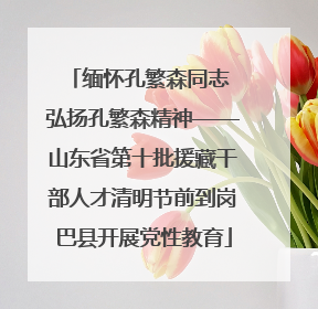 缅怀孔繁森同志 弘扬孔繁森精神——山东省第十批援藏干部人才清明节前到岗巴县开展党性教育