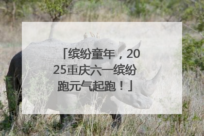 缤纷童年，2025重庆六一缤纷跑元气起跑！