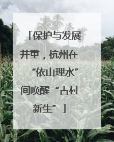 保护与发展并重，杭州在“依山理水”间唤醒“古村新生”