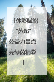 体彩赋能“苏超” 公益力量点亮绿茵精彩