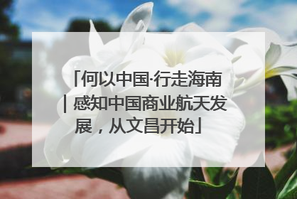 何以中国·行走海南｜感知中国商业航天发展，从文昌开始