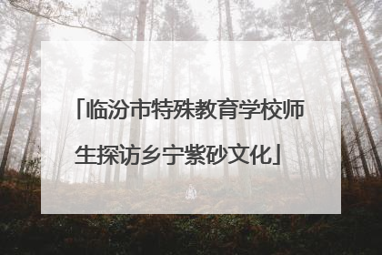 临汾市特殊教育学校师生探访乡宁紫砂文化