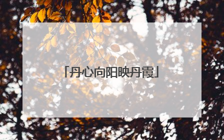 丹心向阳映丹霞