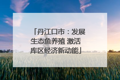 丹江口市：发展生态鱼养殖 激活库区经济新动能
