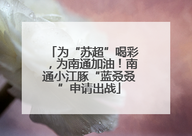 为“苏超”喝彩，为南通加油！南通小江豚“蓝叒叒”申请出战