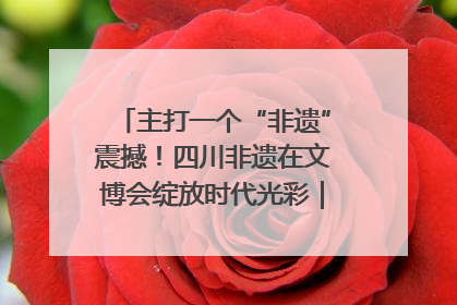 主打一个“非遗”震撼！四川非遗在文博会绽放时代光彩｜文博向“新”