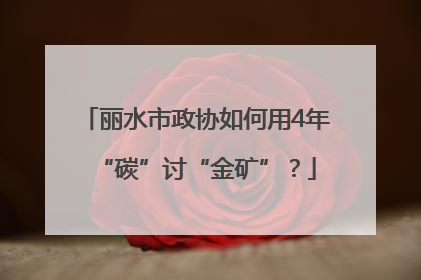丽水市政协如何用4年“碳”讨“金矿”？