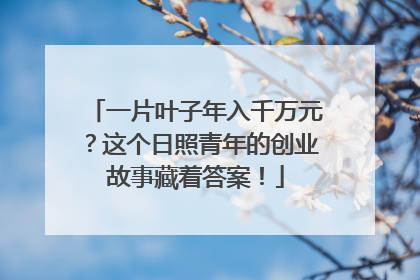 一片叶子年入千万元？这个日照青年的创业故事藏着答案！